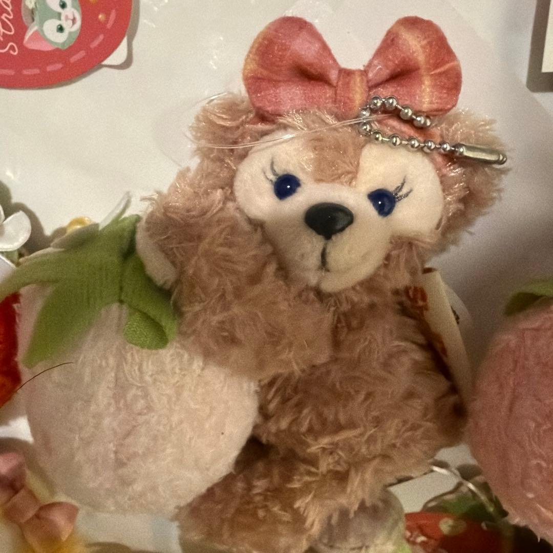 顔厳選　新品未使用ハートフェルトストロベリーギフト ぬいぐるみチャーム7体セット