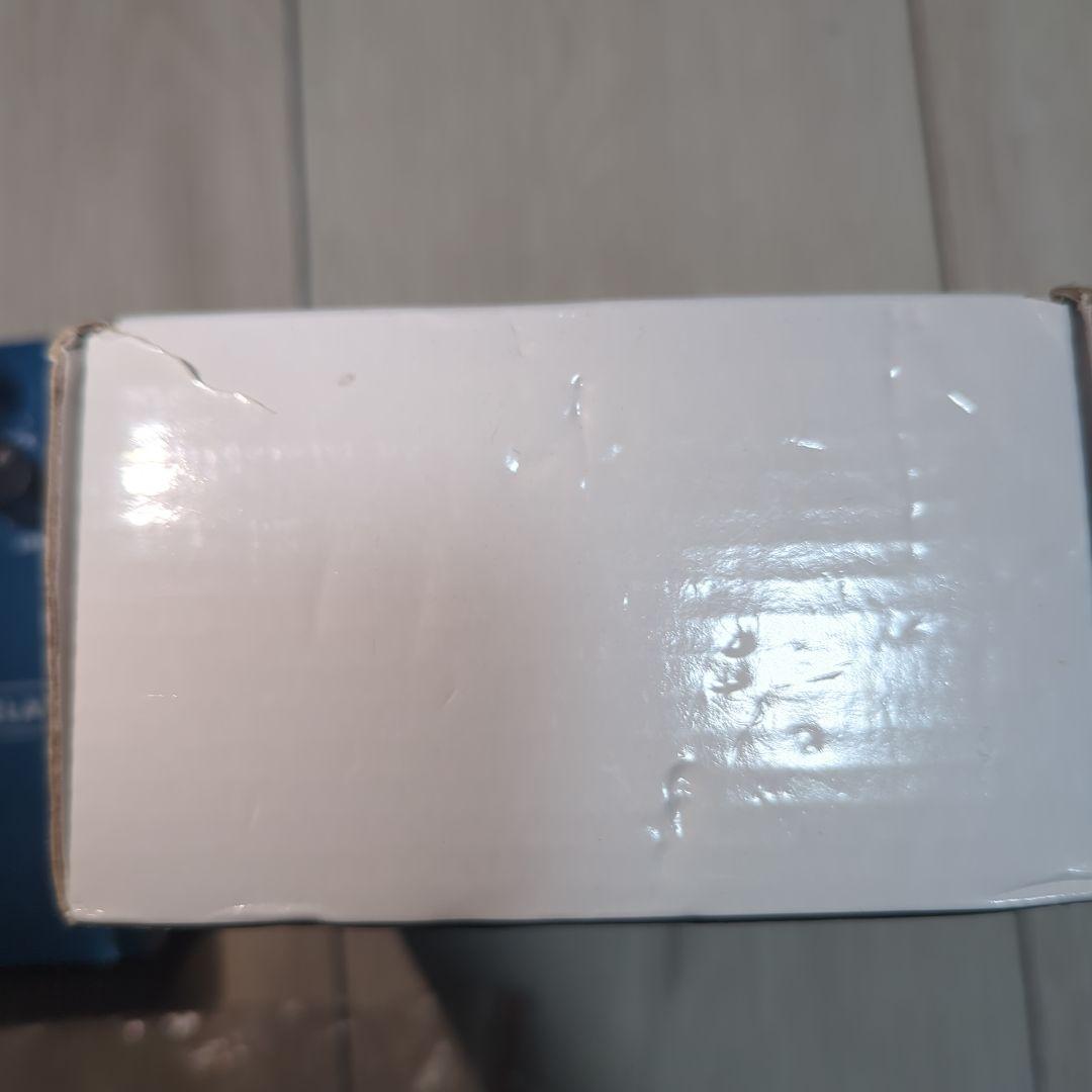 Fender MIRROR IMAGE DELAY ギターエフェクター