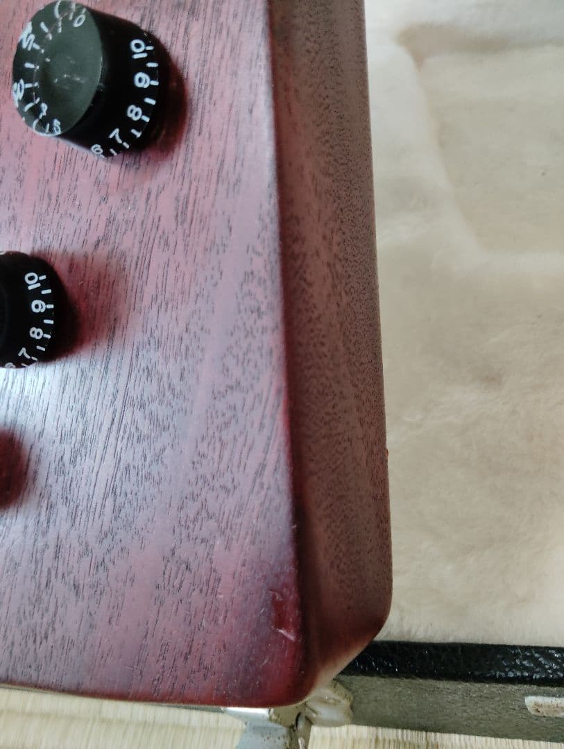 ホ*ー様 Gibson　Explorer　エクスプローラー　ギグバッグ　ストラッ