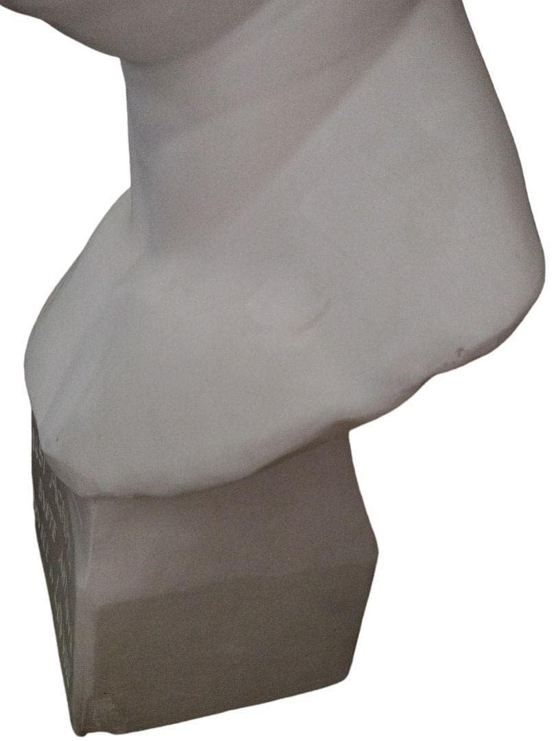 アグリッパ 　 石膏像　富士石膏像製作所