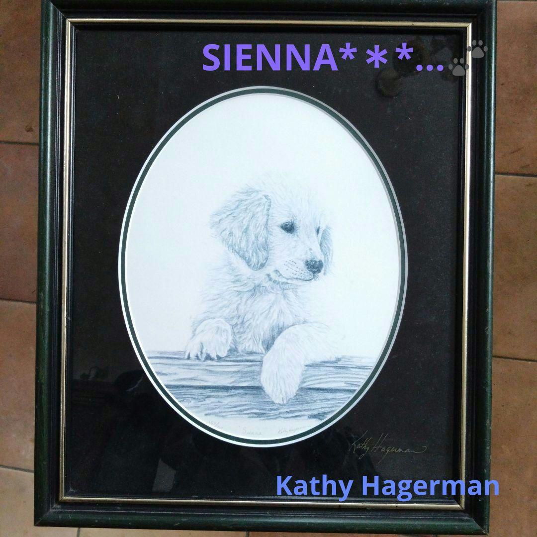 *＊*Kathy Hagerman ❧SIENNA❦ ゴールデンレトリバー*＊*