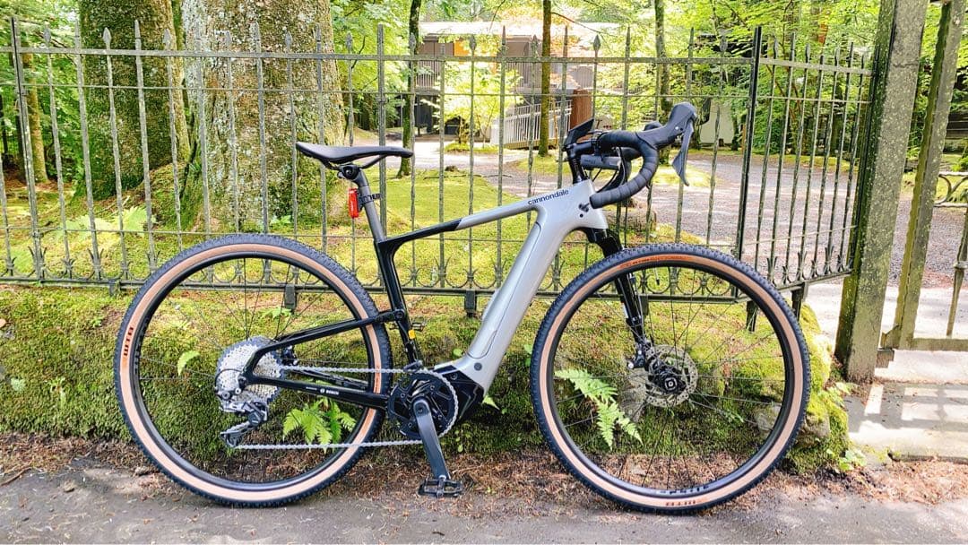 稀少CANNODALE e-bike TOPSTONE Carbon lefty