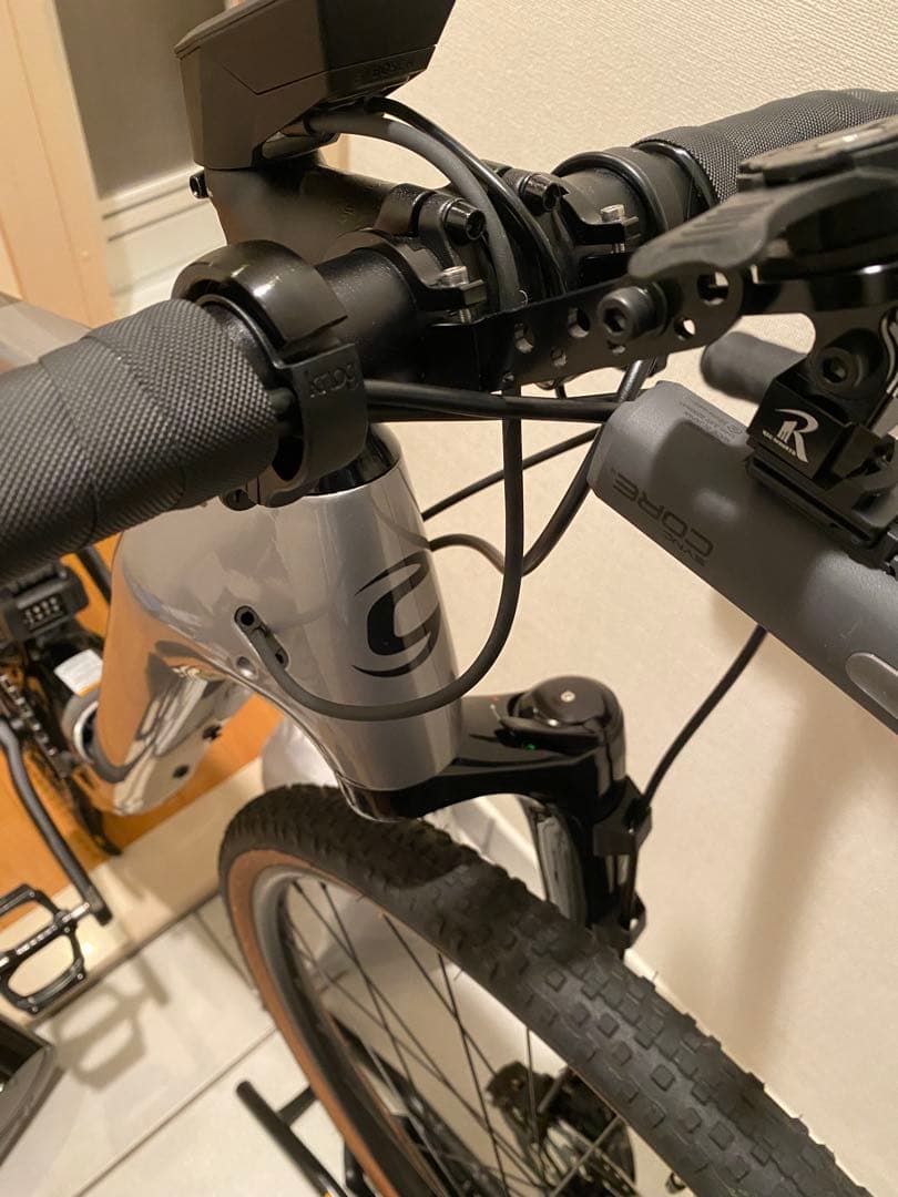 稀少CANNODALE e-bike TOPSTONE Carbon lefty