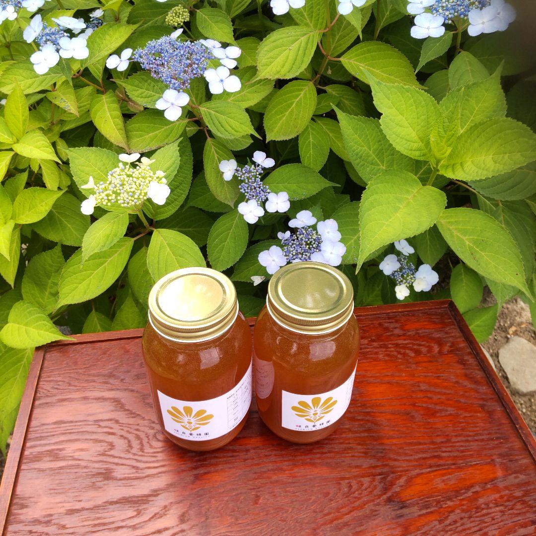 国産純粋はちみつ【1200グラム2本】無添加　 非加熱生蜂蜜