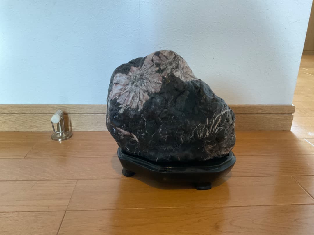 菊花石 台座付き