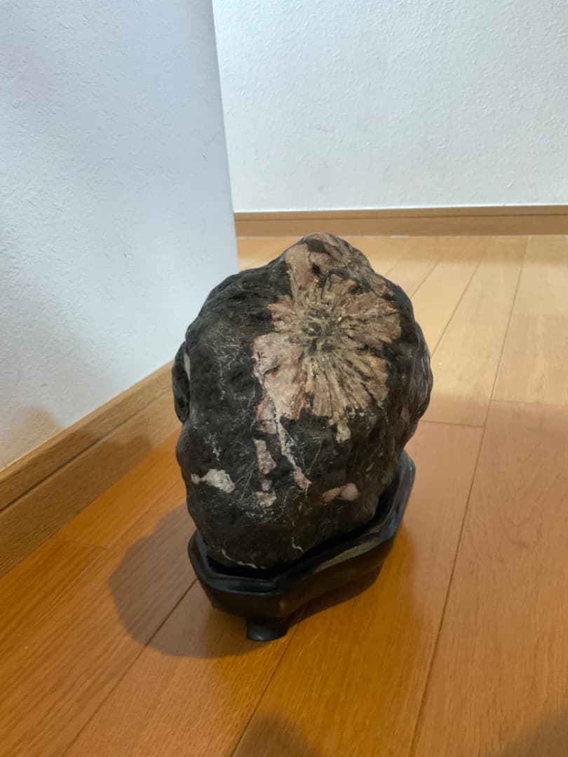 菊花石 台座付き