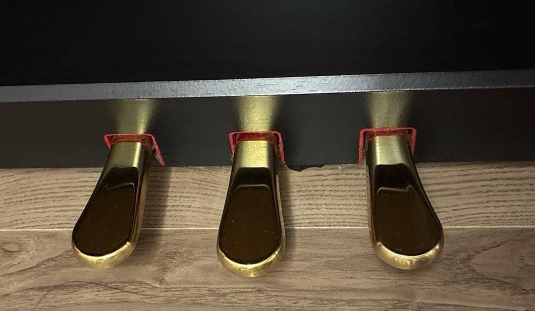 【送料込み•メンテ済み】カワイ電子ピアノCA67R