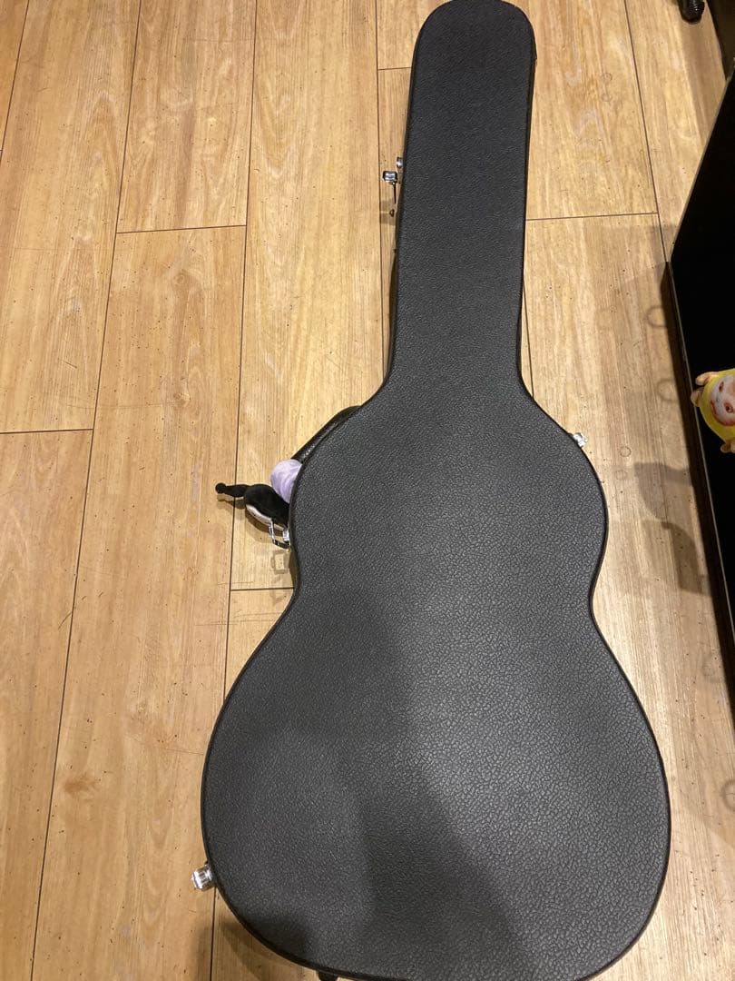 Epiphone les paul Standard レアカラー