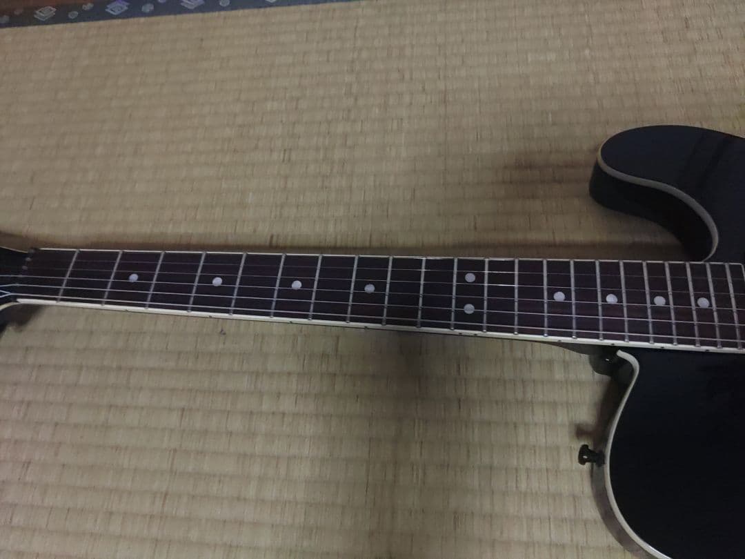 フェルナンデスTEJ-95S サスティナー