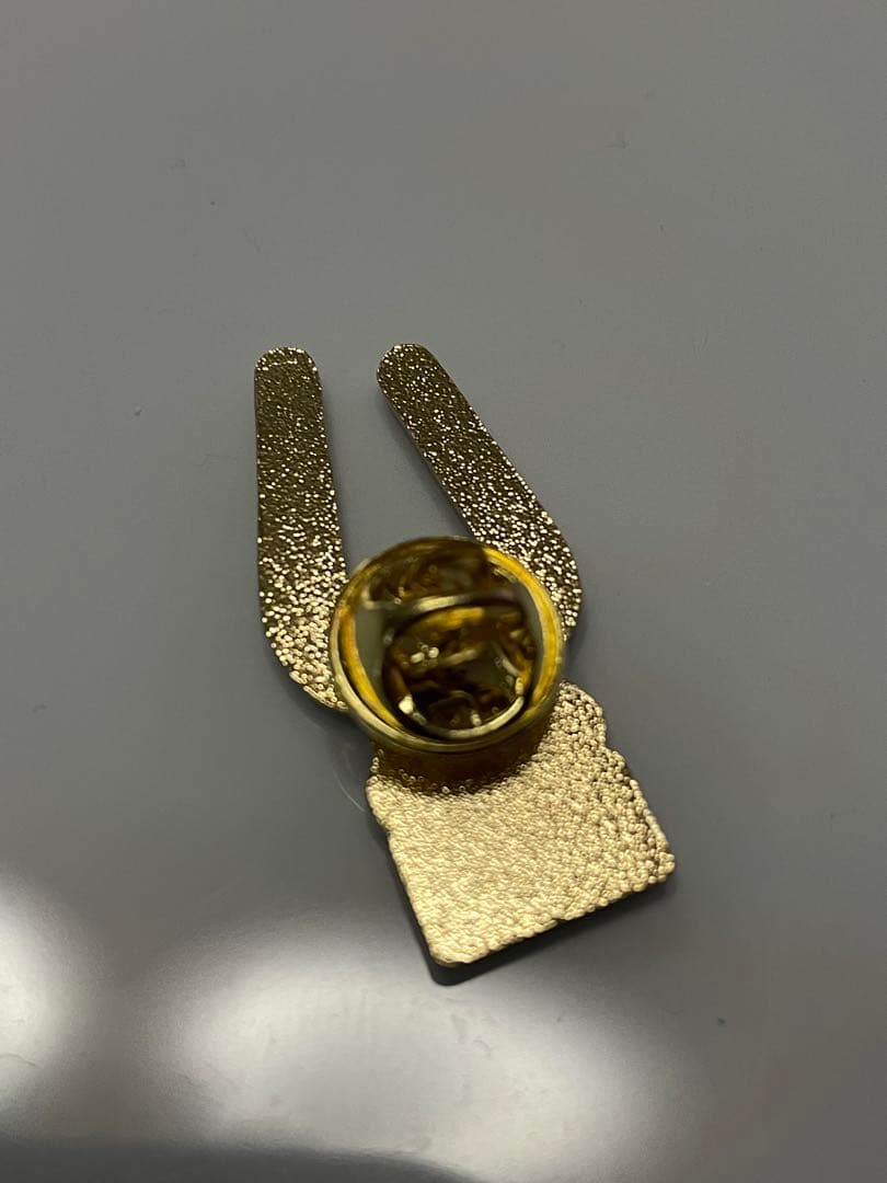 万博 ピンバッジ ドミニカ