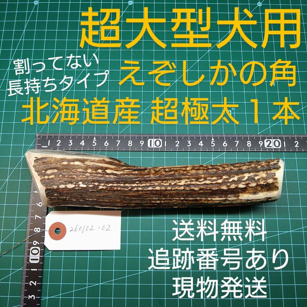 [あ]えぞ鹿の角 愛犬のおもちゃ