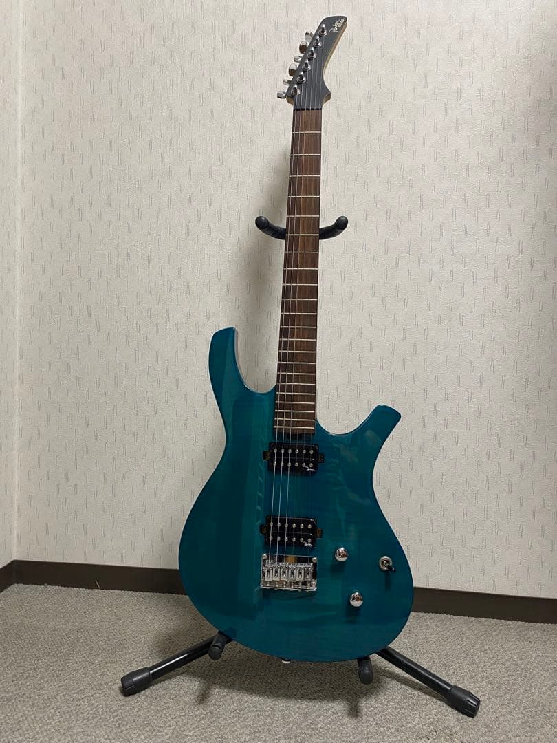 パーカー　エレキギター　ソフトケース付き