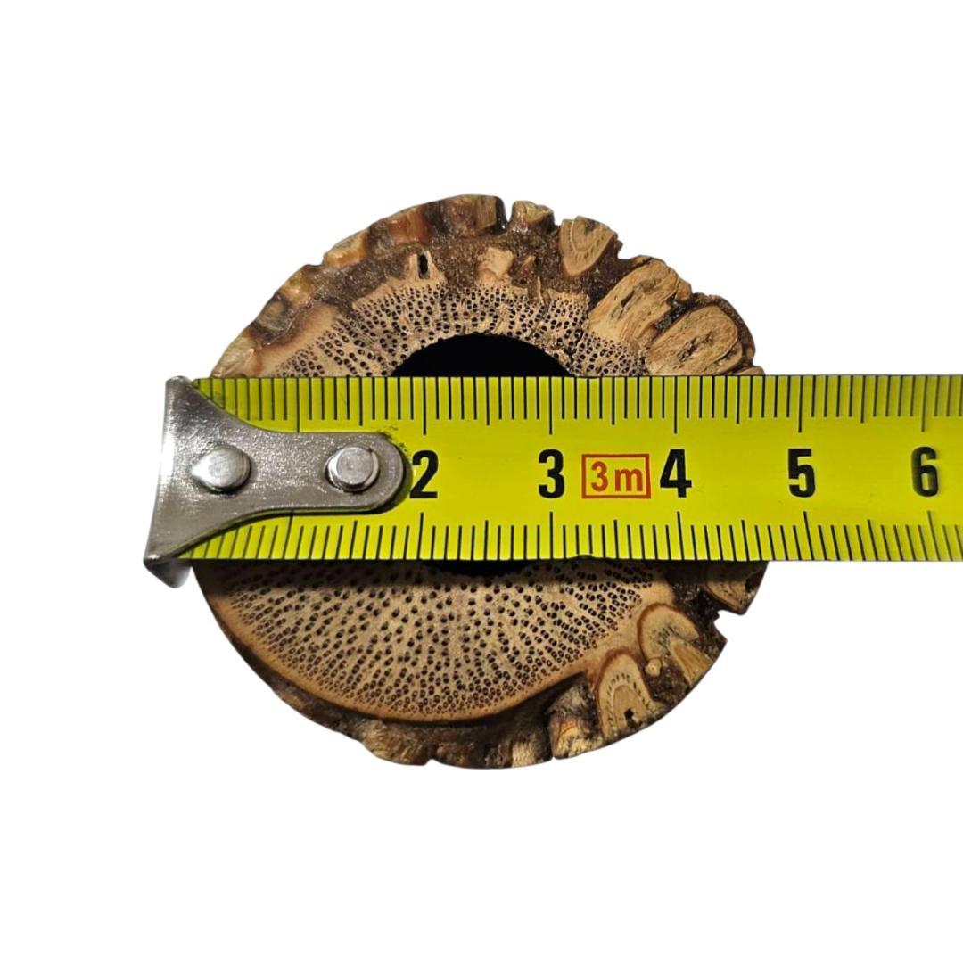 希少 尺八 琴古流 竹治 2尺1寸 5孔 銘あり 1印 根竹 二分割 和楽器 竹