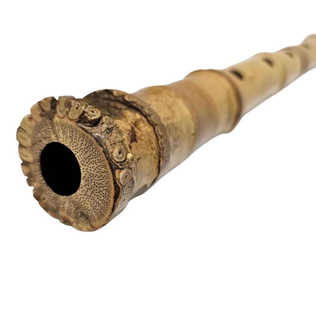 希少 尺八 琴古流 竹治 2尺1寸 5孔 銘あり 1印 根竹 二分割 和楽器 竹