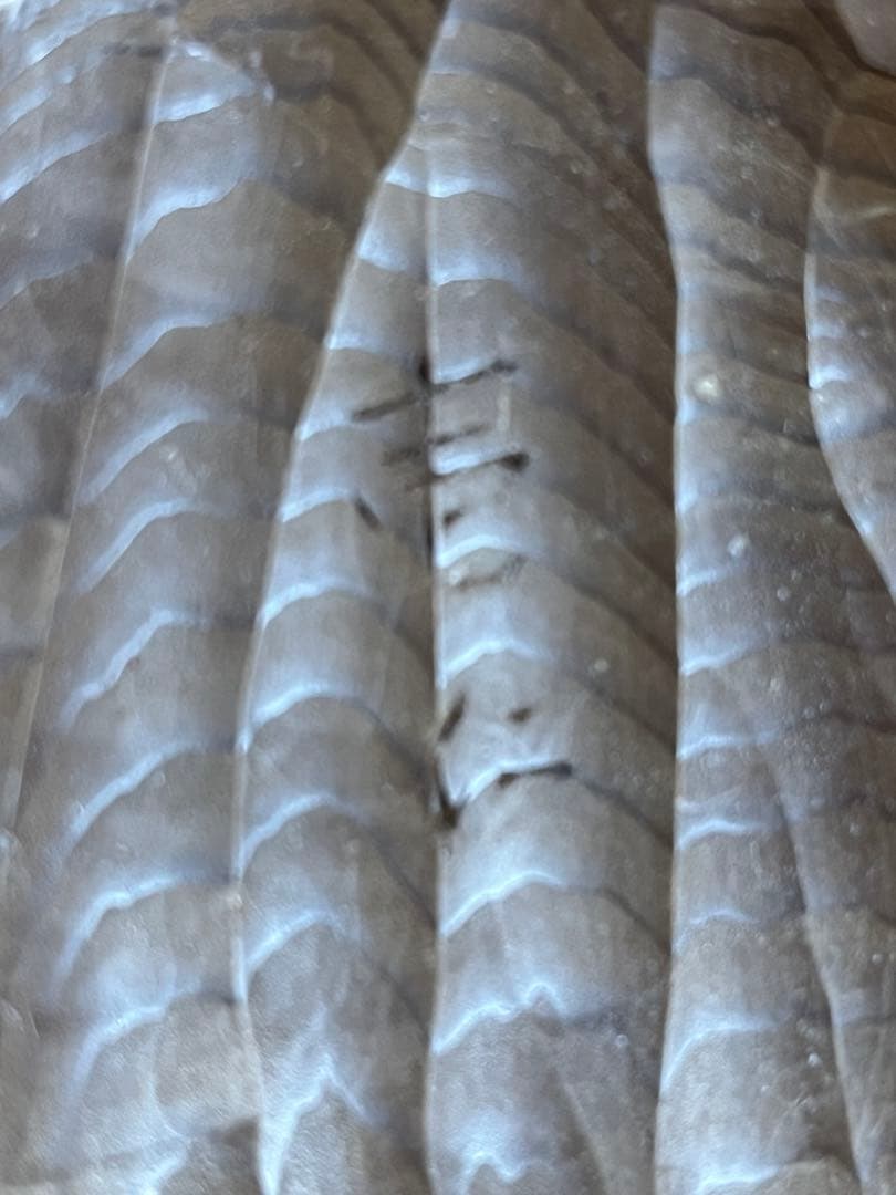 般若 飛騨一刀彫り