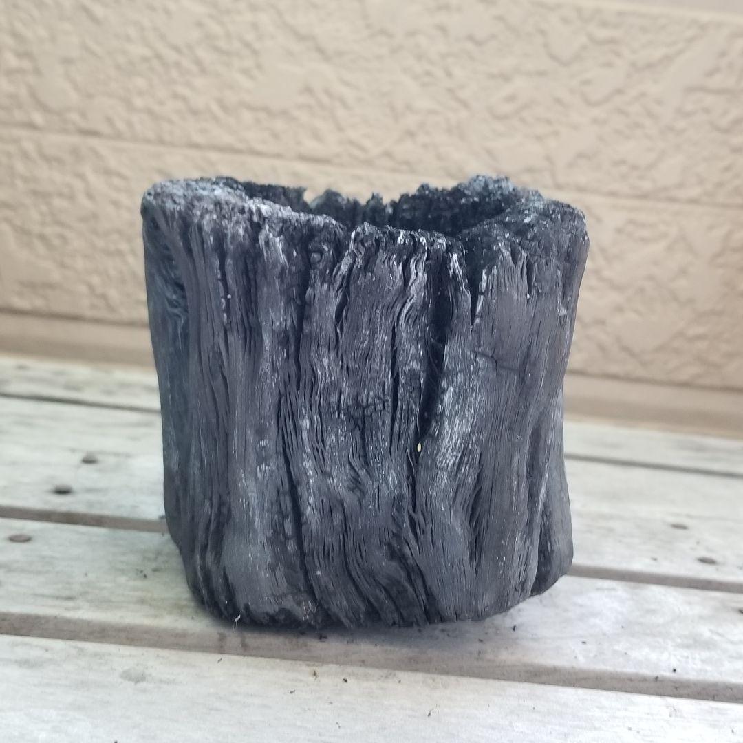 天は皿状　紀州備長炭オブジェ　一点もの　希少