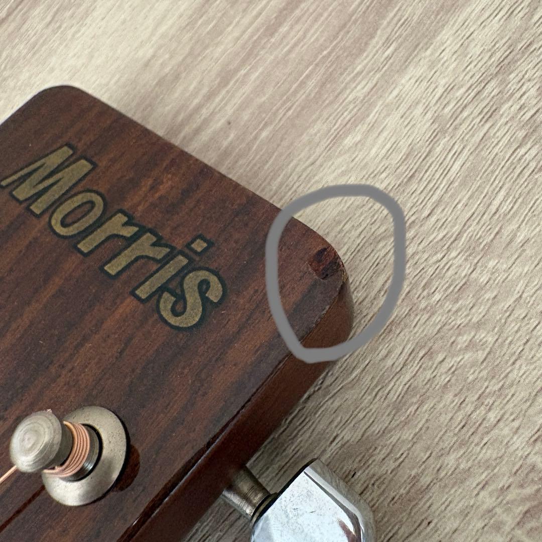 【美品✨】Morris MD-502 モーリス　アコースティックギター
