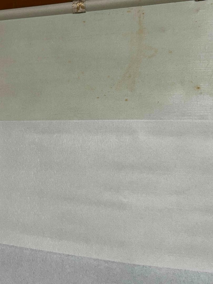 水墨絵画　掛け軸　肉筆逸品 清朝皇室ラスト・エンペラー愛新覚羅家皇族(S-8)