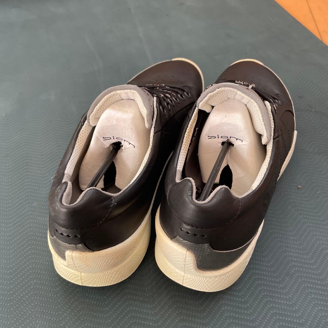 エコーゴルフシューズBion 25.5cm未使用