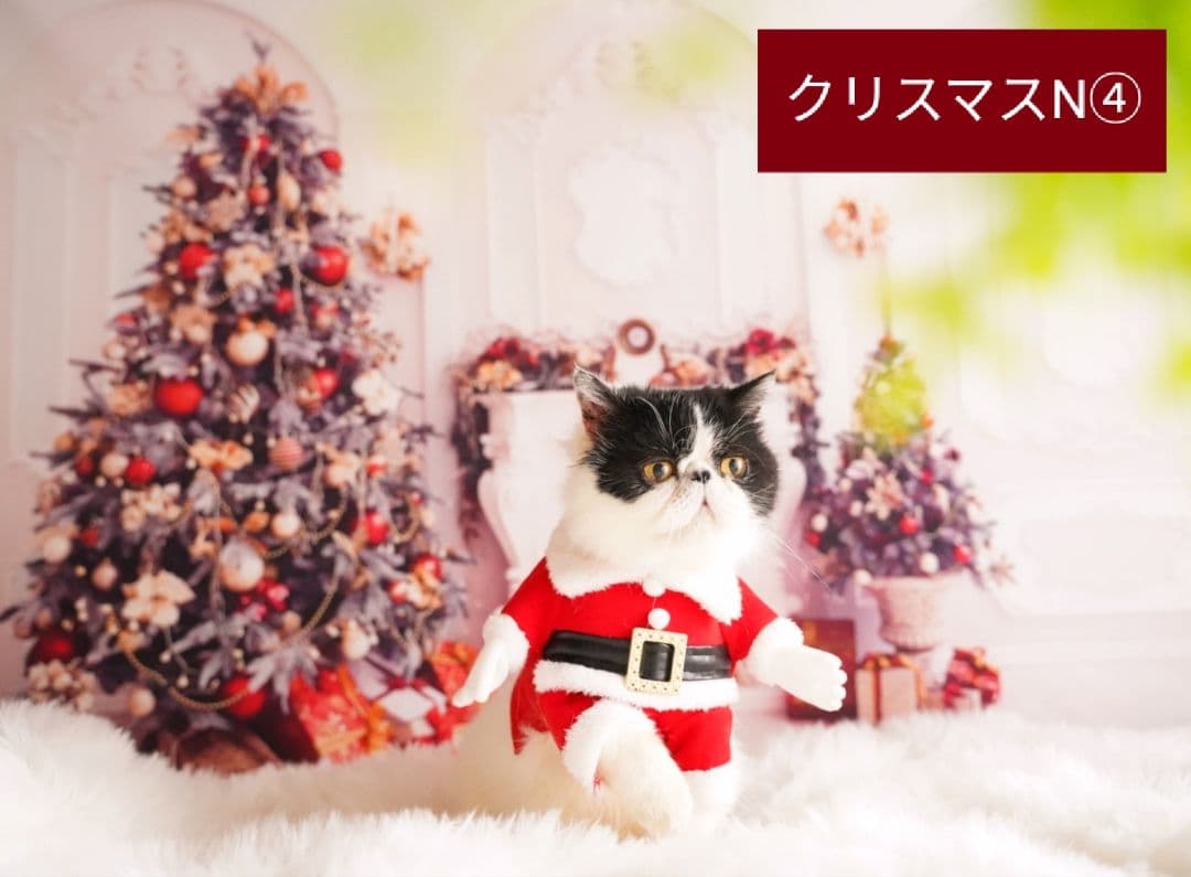 業務用　2026年お正月トリミングチョーカー+背景布×3　ペット、犬撮影用ブース