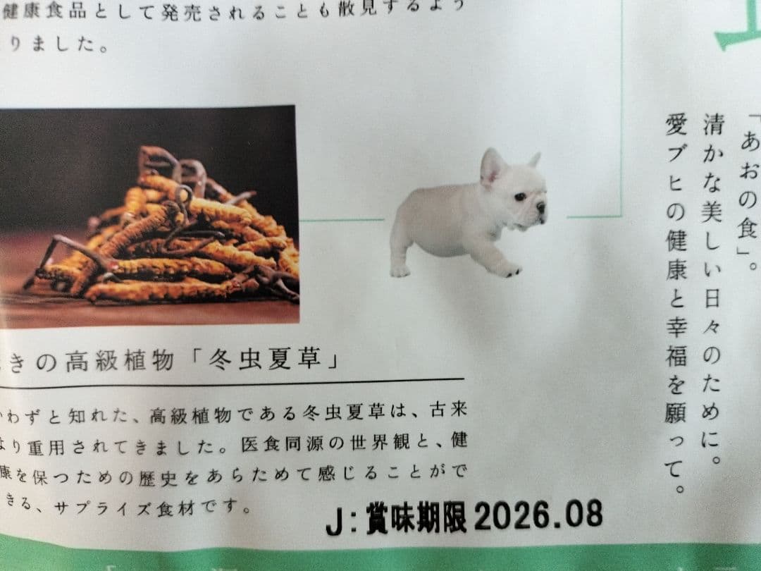 THE fu-do フレンチブルドッグ専用 蒼の食 新品未開封 5袋