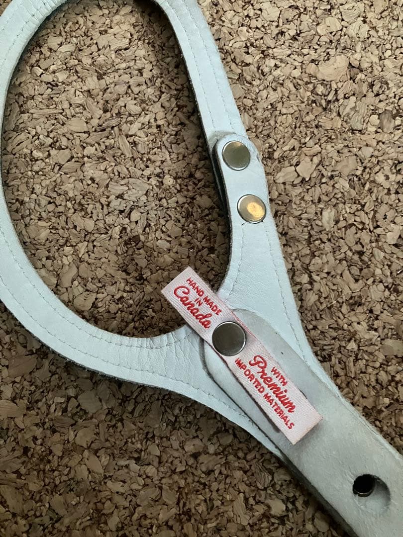 バディベルト　オールレザー 限定カラー ハーネス５号とリードS