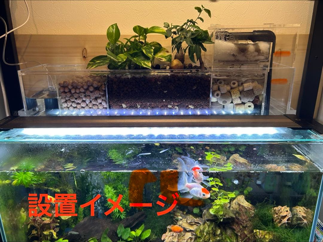 60cm水槽用　アクリル製上部濾過槽アクアポニックス仕様