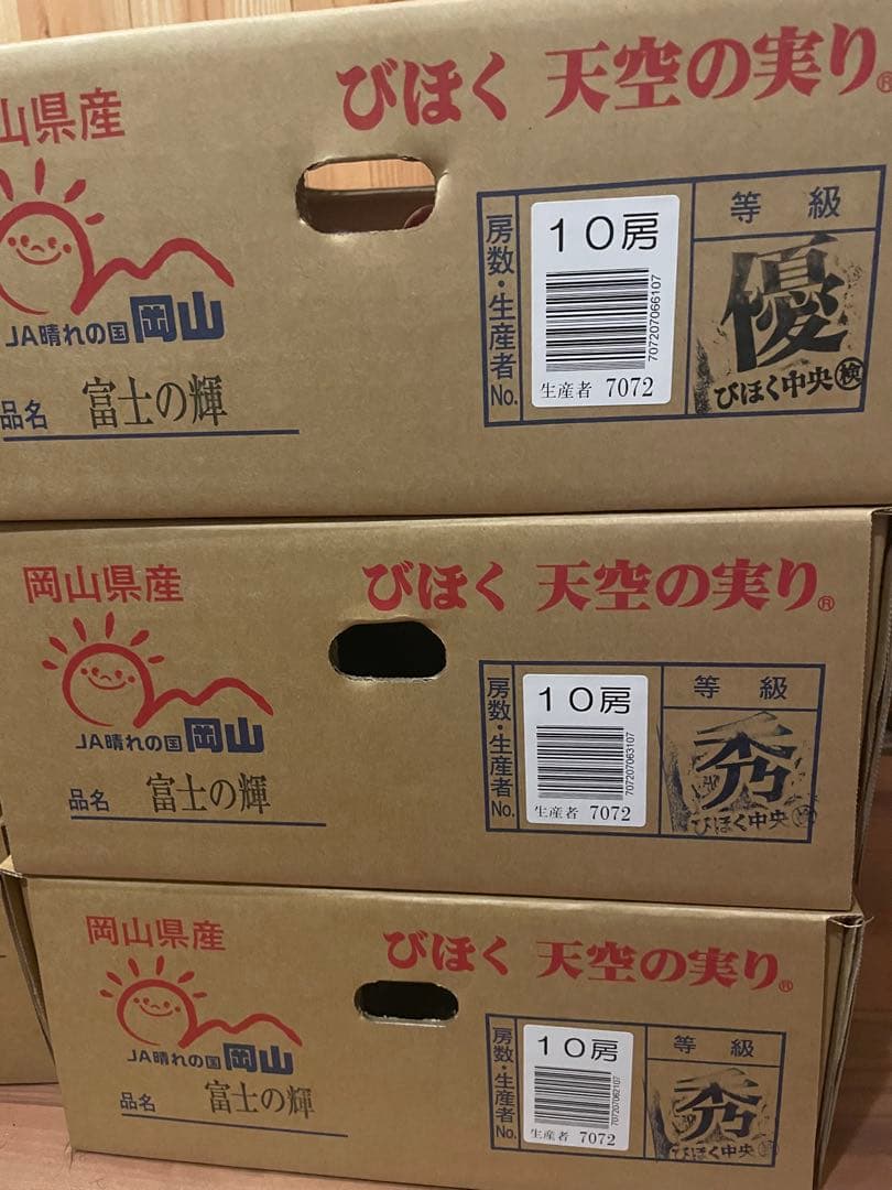 ③ 【岡山県産】富士の輝　10房 約5キロ