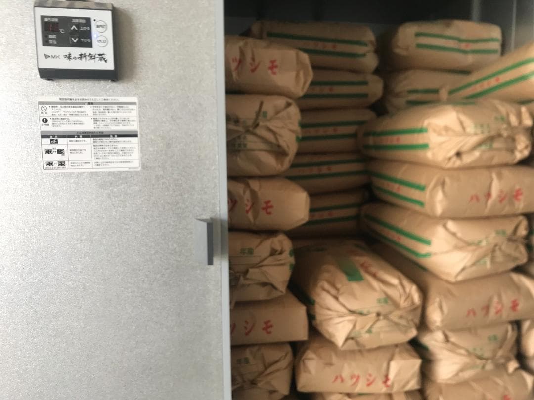 幻のお米　令和7年度『いのちの壱』　岐阜県産　新米 　玄米 ３０kg 　送料無料