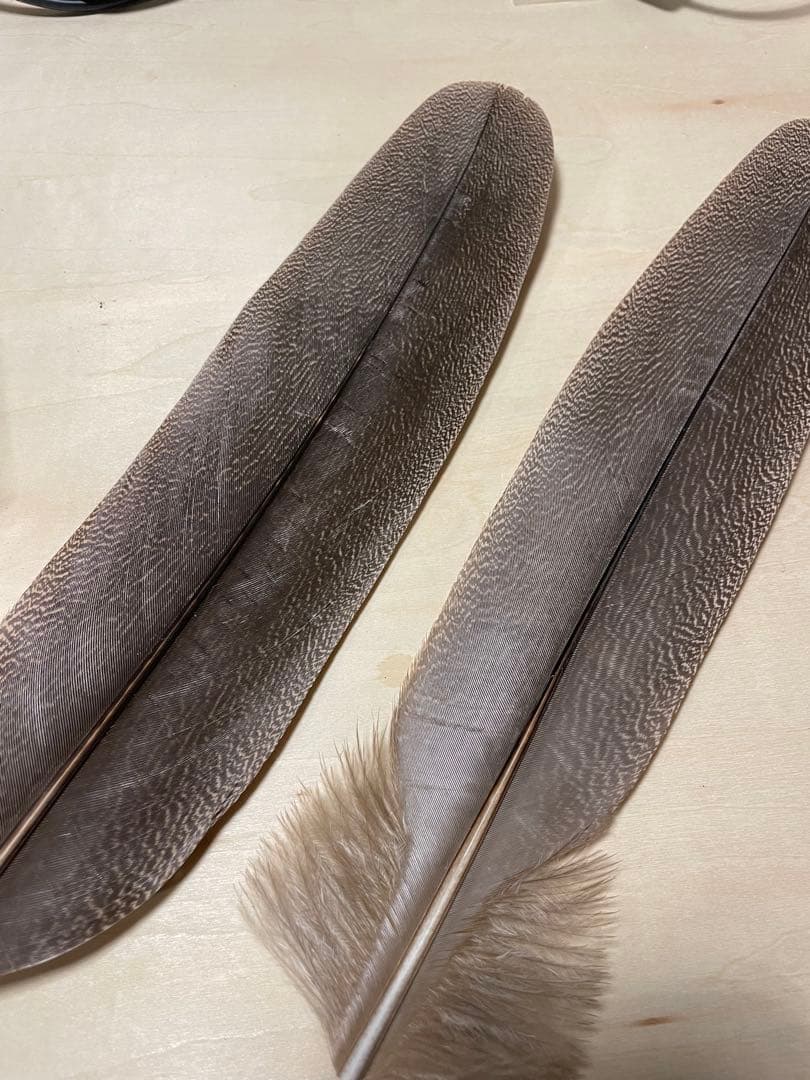 candlestickmaker 様