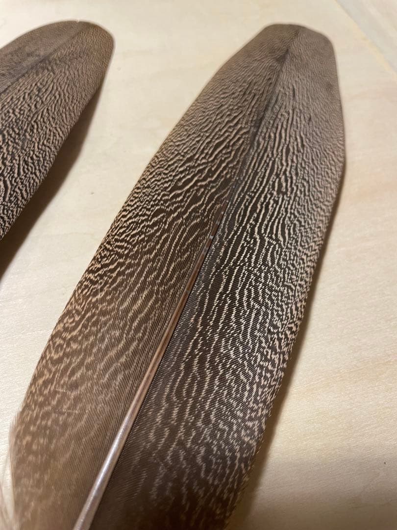 candlestickmaker 様