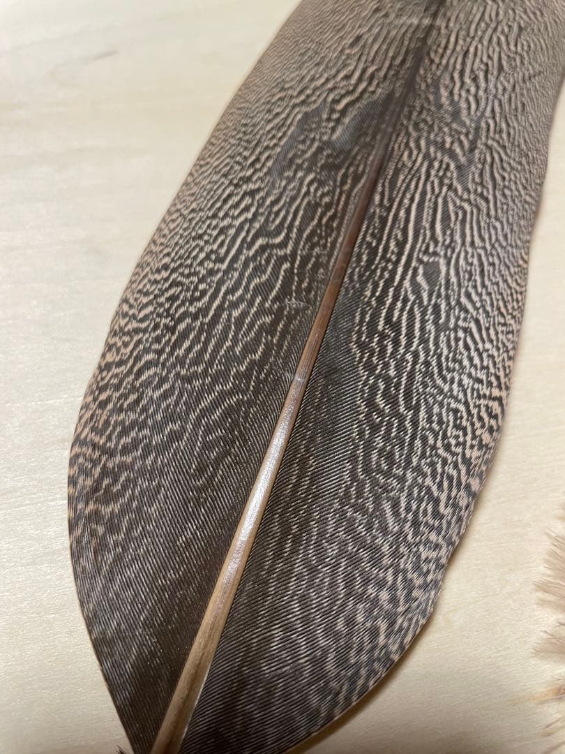 candlestickmaker 様