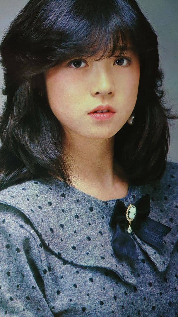 中森明菜　1982年〜1986年 大量　切り抜き　ファイル　2冊　120P