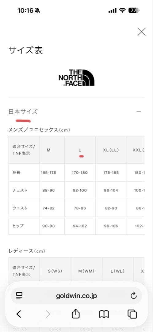 ⭐︎THE NORTH FACE ビンテージカモ スノーボードパンツ L⭐︎