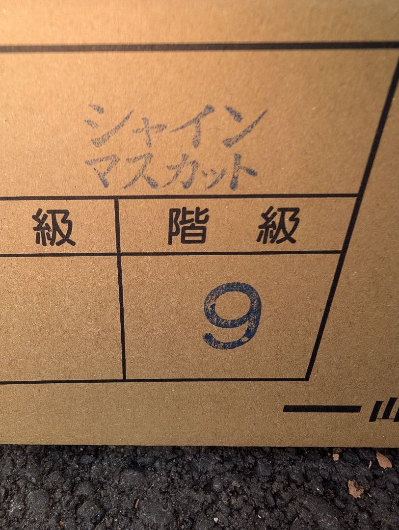 山梨県産ぶどう　シャインマスカット　9房入り　箱込み約5.5kg