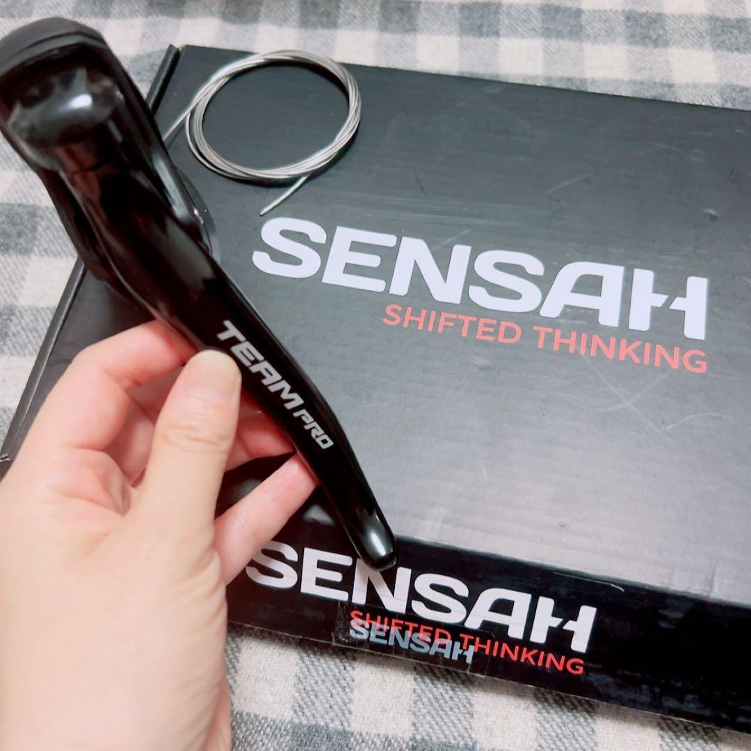 TEAM PRO シフター ハンドシフト　自転車左右変速機