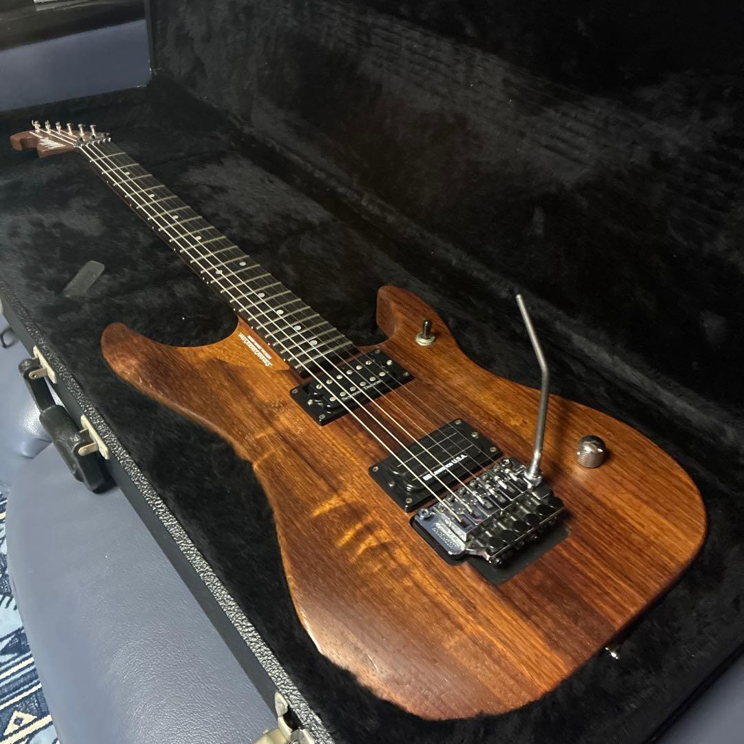 Washburn n4パドークUSA製