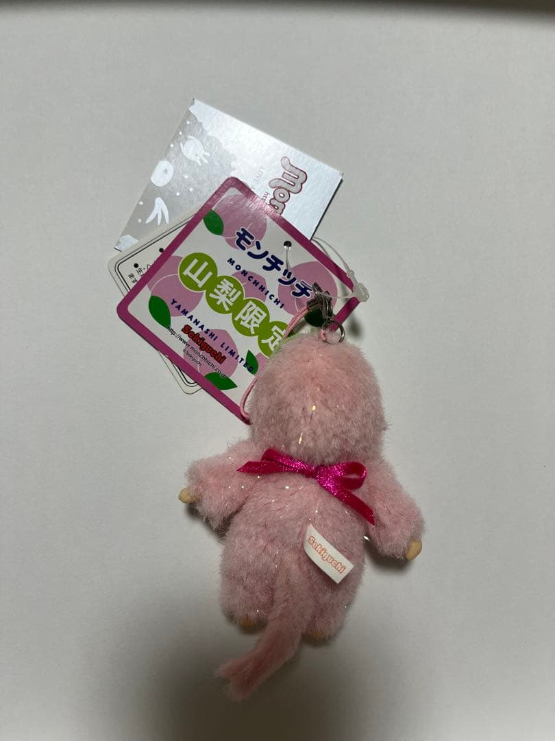 山梨モンチッチ　桃