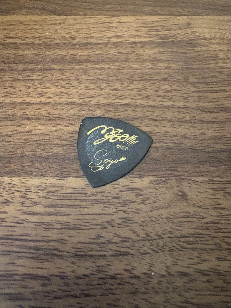 MyGO!!!!! バンドリ！　ピック