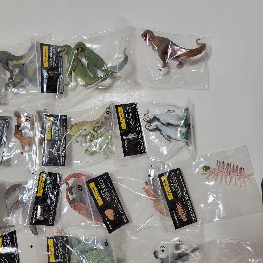 チョコラザウルス 第3シリーズ 全24種 +シークレット