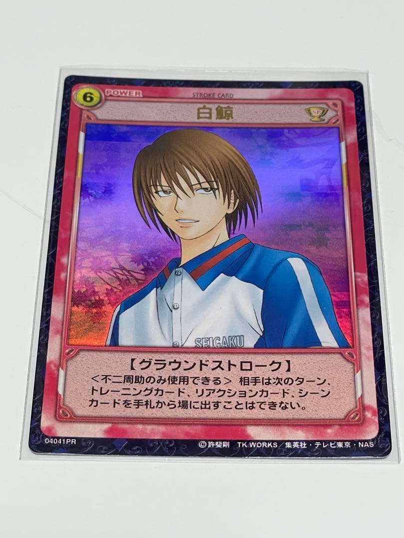 d*9様 テニスの王子様 トレーディングカードゲーム TCG 不二周助 13枚セ