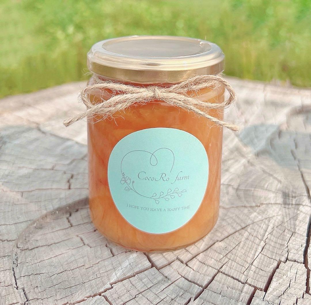 CocoRo♡farm ワッサージャム 12個セット 260g ×12個 無添加