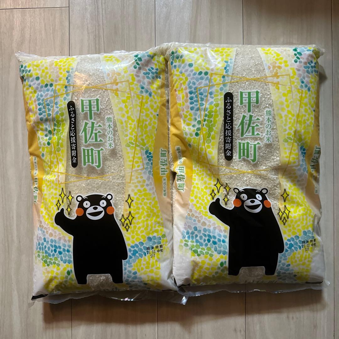 甲佐町　ふるさと納税返礼品　お米　10kg 精米時期3月中旬