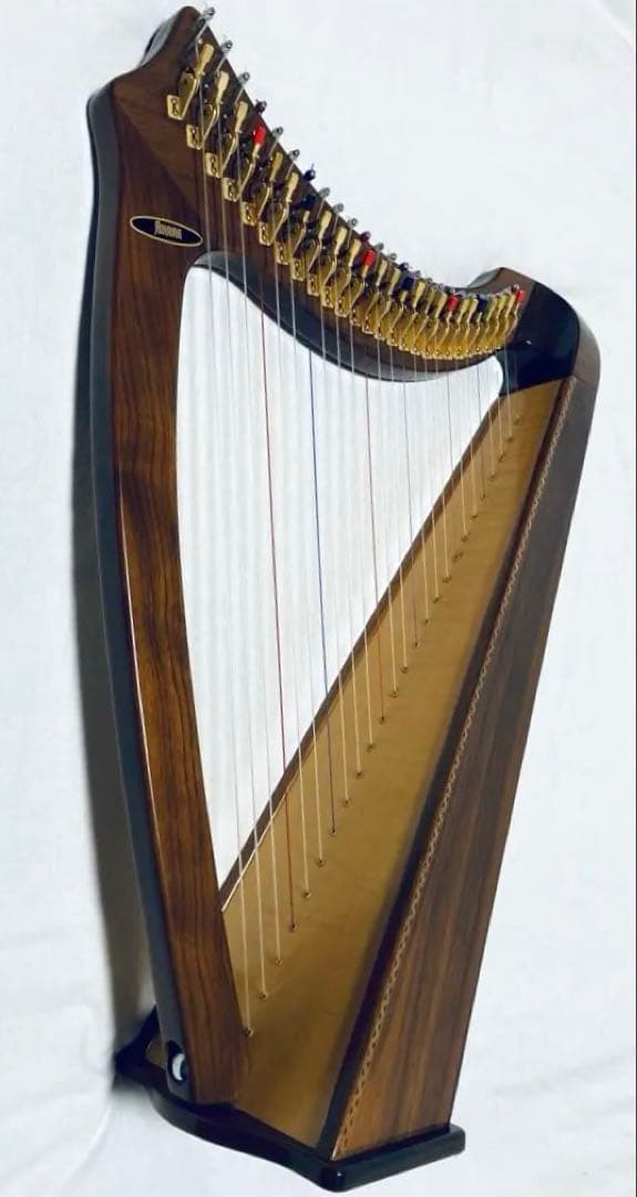 AOYAMA 25S 青山ハープ 25弦 コンパクト ノンペダル 軽量 ケース付
