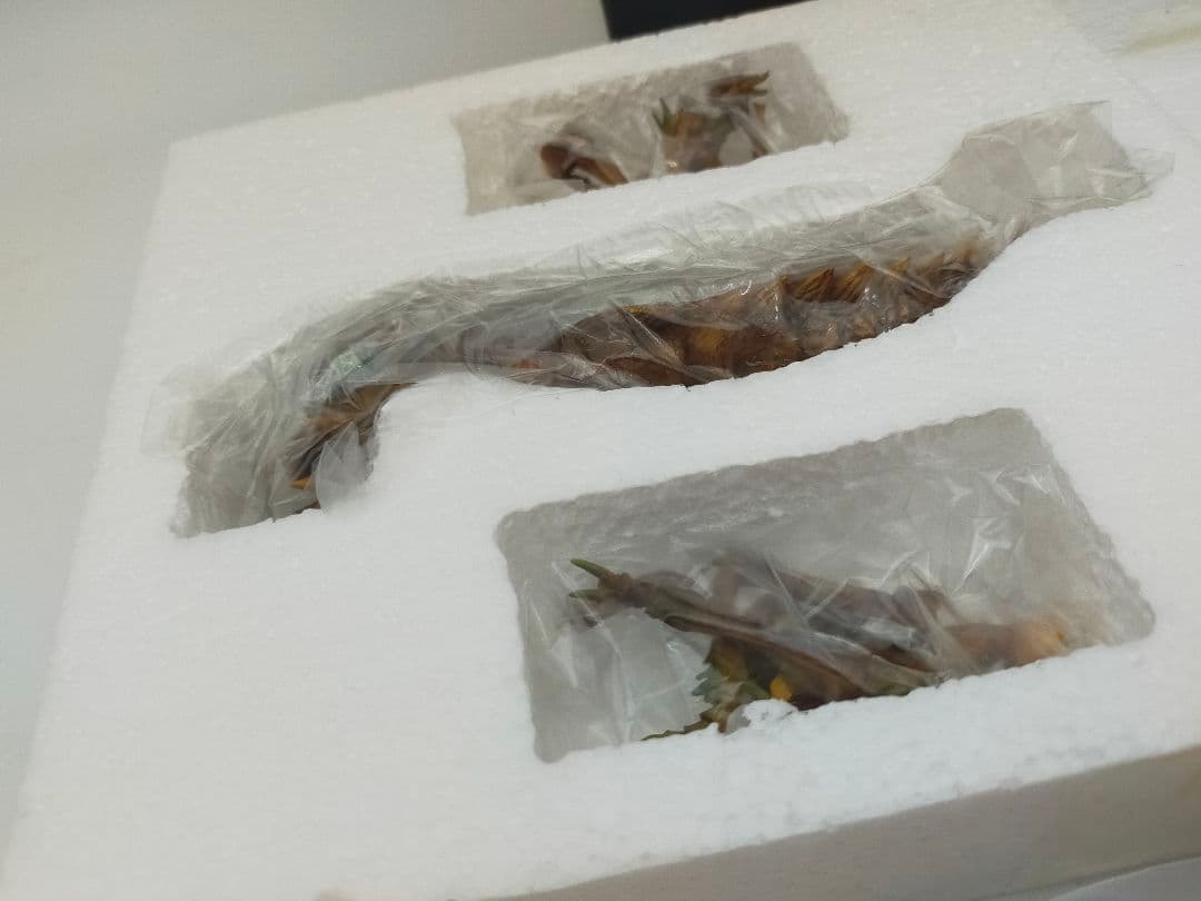 古代ヤゴ怪虫 メガヌロン2000