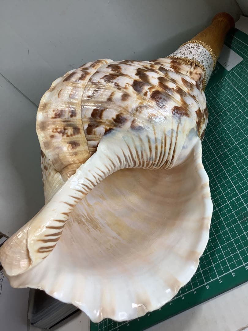 ヤフメリ1・法螺貝・山伏・修験者・金峯山・羽黒山・戦国武将・縁起物・魔除・熊除笛