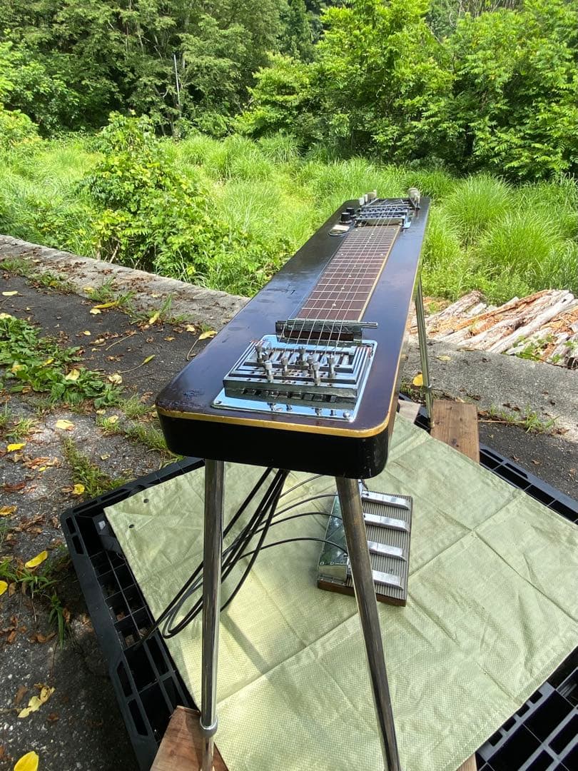 TEISCOテスコ製8弦ペダルスチールギター Model EG-DH 希少‼︎