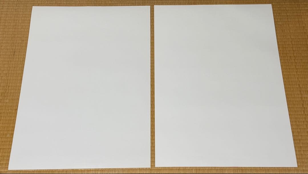 マリオカート DS & マリオブラザーズ B2サイズ 告知ポスター2枚セット