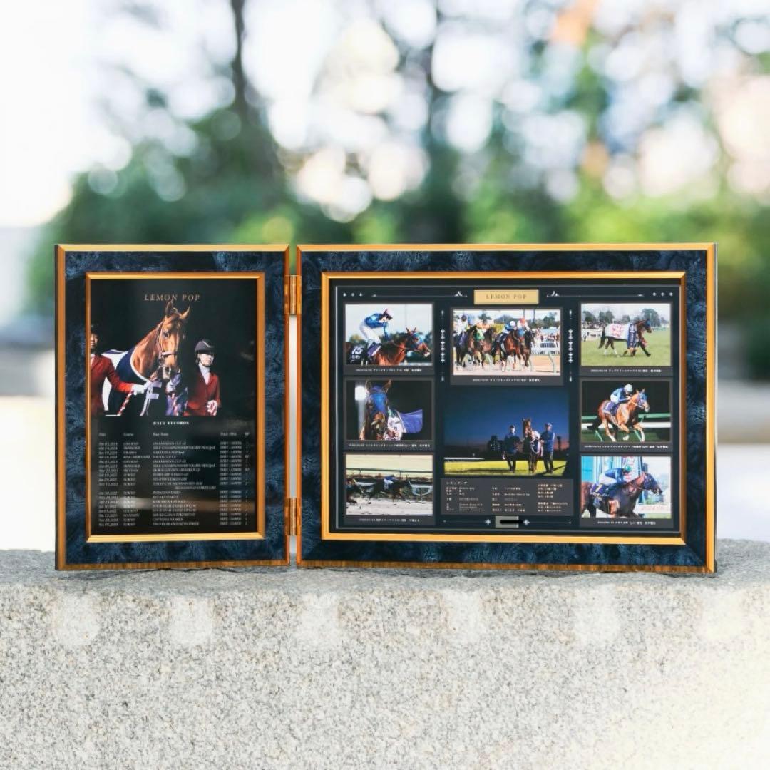 70%OFF【数量限定】レモンポップ引退記念写真デザインパネル