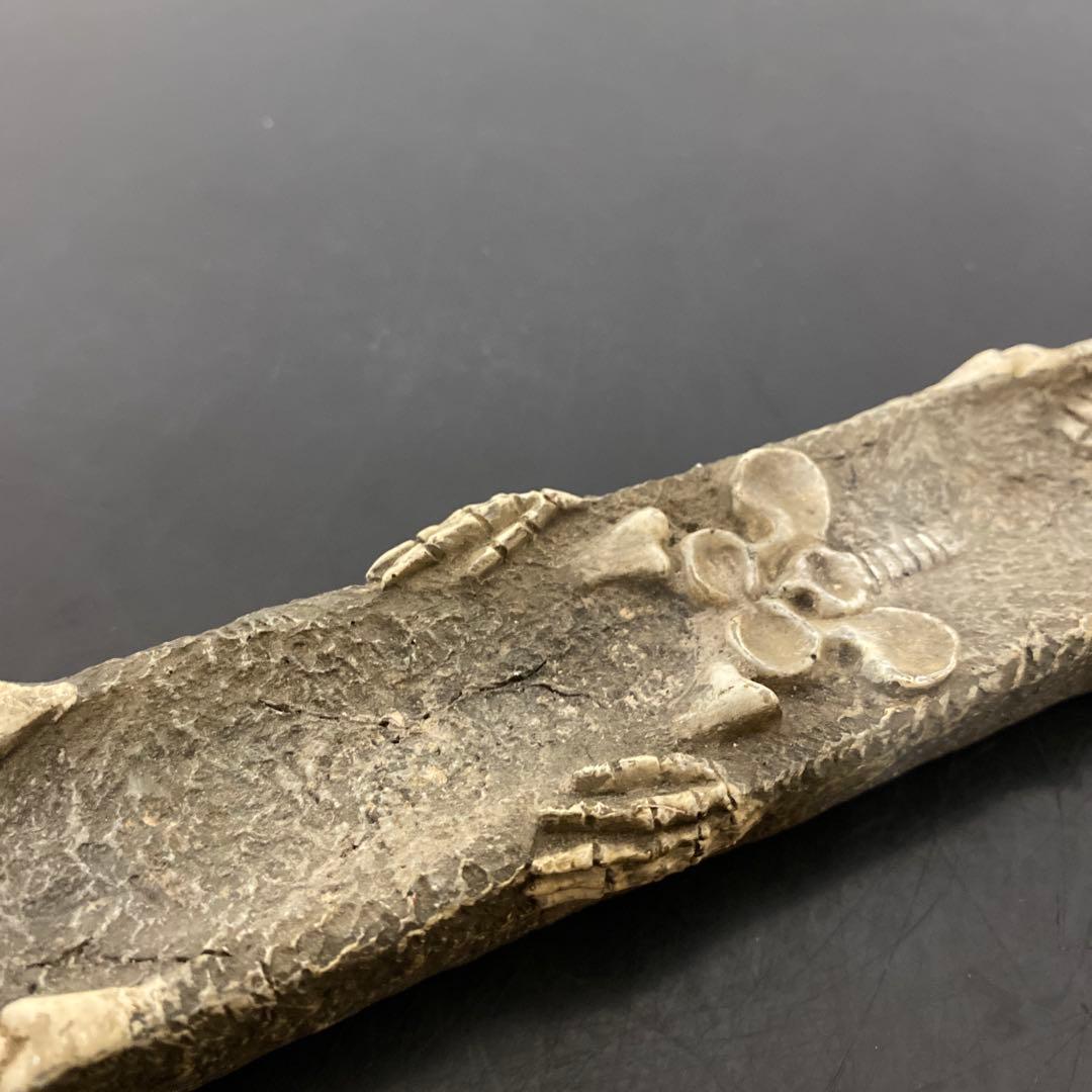 スカル ドクロ 髑髏 フィギュア ４種セット 置物 お香立て ステンレスグラス8